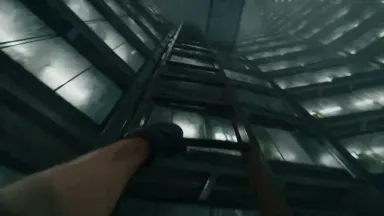 Flooding Botanical Tower Ascent