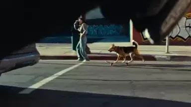 Skatedog